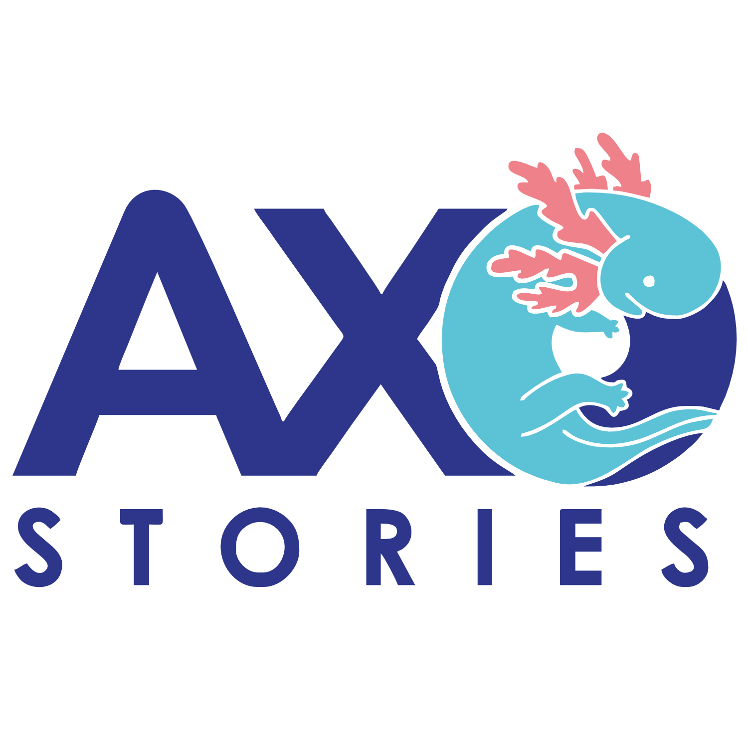 Axo Stories